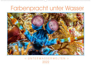 Farbenpracht unter Wasser (Wandkalender 2022 DIN A2 quer) von Gödecke,  Dieter