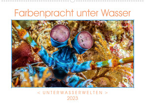 Farbenpracht unter Wasser (Wandkalender 2023 DIN A2 quer) von Gödecke,  Dieter