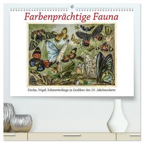 Farbenprächtige Fauna. Fische, Vögel, Schmetterlinge in Grafiken des 19 Jahrhunderts (hochwertiger Premium Wandkalender 2024 DIN A2 quer), Kunstdruck in Hochglanz von Galle,  Jost