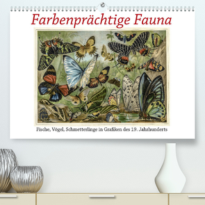 Farbenprächtige Fauna. Fische, Vögel, Schmetterlinge in Grafiken des 19 Jahrhunderts (Premium, hochwertiger DIN A2 Wandkalender 2022, Kunstdruck in Hochglanz) von Galle,  Jost