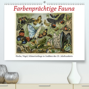 Farbenprächtige Fauna. Fische, Vögel, Schmetterlinge in Grafiken des 19 Jahrhunderts (Premium, hochwertiger DIN A2 Wandkalender 2020, Kunstdruck in Hochglanz) von Galle,  Jost