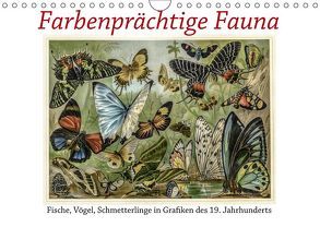 Farbenprächtige Fauna. Fische, Vögel, Schmetterlinge in Grafiken des 19 Jahrhunderts (Wandkalender 2019 DIN A4 quer) von Galle,  Jost