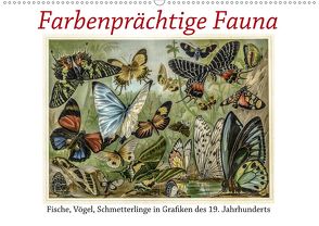 Farbenprächtige Fauna. Fische, Vögel, Schmetterlinge in Grafiken des 19 Jahrhunderts (Wandkalender 2020 DIN A2 quer) von Galle,  Jost