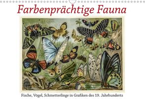 Farbenprächtige Fauna. Fische, Vögel, Schmetterlinge in Grafiken des 19 Jahrhunderts (Wandkalender 2020 DIN A3 quer) von Galle,  Jost