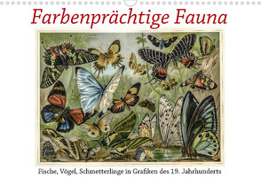 Farbenprächtige Fauna. Fische, Vögel, Schmetterlinge in Grafiken des 19 Jahrhunderts (Wandkalender 2022 DIN A3 quer) von Galle,  Jost