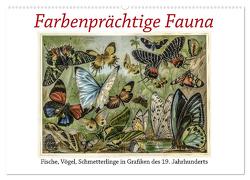 Farbenprächtige Fauna. Fische, Vögel, Schmetterlinge in Grafiken des 19 Jahrhunderts (Wandkalender 2024 DIN A2 quer), CALVENDO Monatskalender von Galle,  Jost