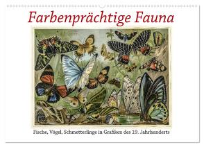 Farbenprächtige Fauna. Fische, Vögel, Schmetterlinge in Grafiken des 19 Jahrhunderts (Wandkalender 2024 DIN A2 quer), CALVENDO Monatskalender von Galle,  Jost