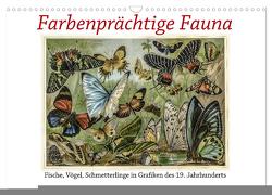 Farbenprächtige Fauna. Fische, Vögel, Schmetterlinge in Grafiken des 19 Jahrhunderts (Wandkalender 2024 DIN A3 quer), CALVENDO Monatskalender von Galle,  Jost