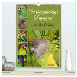 Farbenprächtige Papageien aus Asien und Afrika (hochwertiger Premium Wandkalender 2024 DIN A2 hoch), Kunstdruck in Hochglanz von Kleemann,  Claudia