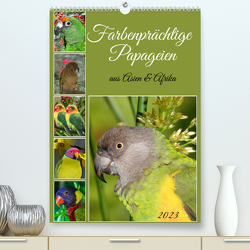 Farbenprächtige Papageien aus Asien und Afrika (Premium, hochwertiger DIN A2 Wandkalender 2023, Kunstdruck in Hochglanz) von Kleemann,  Claudia