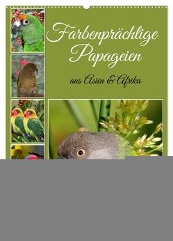 Farbenprächtige Papageien aus Asien und Afrika (Wandkalender 2024 DIN A2 hoch), CALVENDO Monatskalender von Kleemann,  Claudia