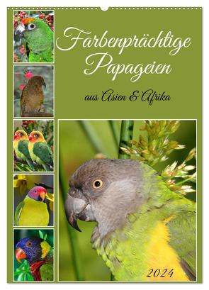 Farbenprächtige Papageien aus Asien und Afrika (Wandkalender 2024 DIN A2 hoch), CALVENDO Monatskalender von Kleemann,  Claudia