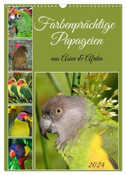 Farbenprächtige Papageien aus Asien und Afrika (Wandkalender 2024 DIN A3 hoch), CALVENDO Monatskalender von Kleemann,  Claudia