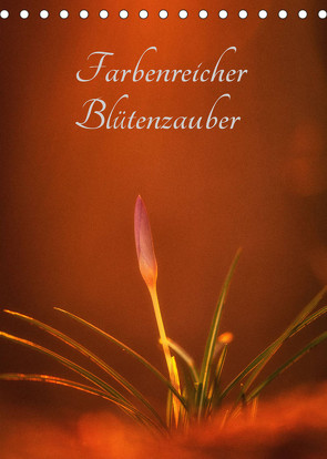 Farbenreicher Blütenzauber (Tischkalender 2023 DIN A5 hoch) von Holtz,  Alena