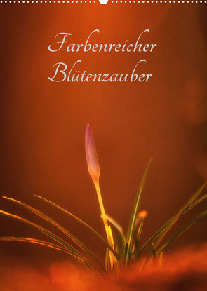 Farbenreicher Blütenzauber (Wandkalender 2022 DIN A2 hoch) von Holtz,  Alena