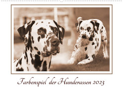 Farbenspiel der Hunderassen (Wandkalender 2023 DIN A2 quer) von Mielewczyk,  Barbara