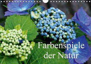 Farbenspiele der Natur (Wandkalender 2019 DIN A4 quer) von Bredenstein,  Joachim