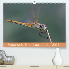 Farbenvolle Pracht der Libellen (Premium, hochwertiger DIN A2 Wandkalender 2021, Kunstdruck in Hochglanz) von Blickwinkel,  Dany´s