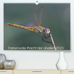 Farbenvolle Pracht der Libellen (Premium, hochwertiger DIN A2 Wandkalender 2023, Kunstdruck in Hochglanz) von Blickwinkel,  Dany´s