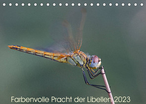 Farbenvolle Pracht der Libellen (Tischkalender 2023 DIN A5 quer) von Blickwinkel,  Dany´s