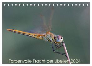 Farbenvolle Pracht der Libellen (Tischkalender 2024 DIN A5 quer), CALVENDO Monatskalender von Blickwinkel,  Dany´s