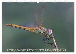 Farbenvolle Pracht der Libellen (Wandkalender 2024 DIN A2 quer), CALVENDO Monatskalender von Blickwinkel,  Dany´s