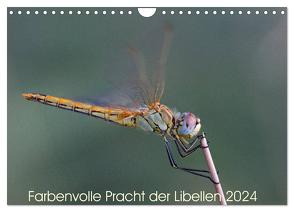 Farbenvolle Pracht der Libellen (Wandkalender 2024 DIN A4 quer), CALVENDO Monatskalender von Blickwinkel,  Dany´s
