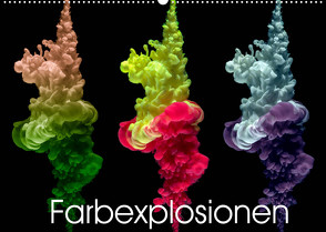 Farbexplosionen (Wandkalender 2022 DIN A2 quer) von Immephotography