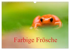 Farbige Frösche (Wandkalender 2024 DIN A3 quer), CALVENDO Monatskalender von Giesbers,  Edwin