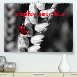 Farbige Punkte in der Natur / Geburtstagskalender (Premium, hochwertiger DIN A2 Wandkalender 2022, Kunstdruck in Hochglanz) von Poetsch,  Rolf