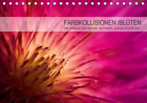 FARBKOLLISIONEN /BLÜTEN (Tischkalender 2021 DIN A5 quer) von W. Zeischold,  André