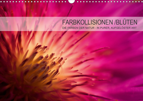 FARBKOLLISIONEN /BLÜTEN (Wandkalender 2021 DIN A3 quer) von W. Zeischold,  André