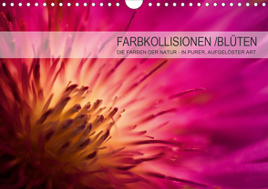 FARBKOLLISIONEN /BLÜTEN (Wandkalender 2021 DIN A4 quer) von W. Zeischold,  André