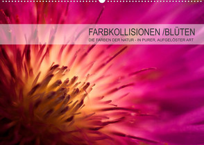 FARBKOLLISIONEN /BLÜTEN (Wandkalender 2022 DIN A2 quer) von W. Zeischold,  André