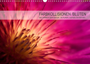 FARBKOLLISIONEN /BLÜTEN (Wandkalender 2022 DIN A3 quer) von W. Zeischold,  André