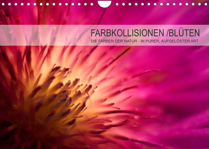 FARBKOLLISIONEN /BLÜTEN (Wandkalender 2022 DIN A4 quer) von W. Zeischold,  André