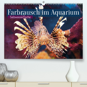 Farbrausch im Aquarium: Salzwasserfische (Premium, hochwertiger DIN A2 Wandkalender 2022, Kunstdruck in Hochglanz) von CALVENDO