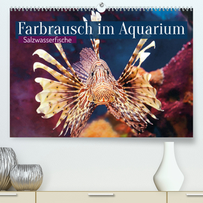 Farbrausch im Aquarium: Salzwasserfische (Premium, hochwertiger DIN A2 Wandkalender 2023, Kunstdruck in Hochglanz) von CALVENDO
