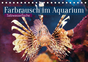 Farbrausch im Aquarium: Salzwasserfische (Tischkalender 2022 DIN A5 quer) von CALVENDO