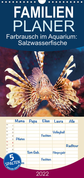 Familienplaner Farbrausch im Aquarium: Salzwasserfische (Wandkalender 2022 , 21 cm x 45 cm, hoch) von CALVENDO