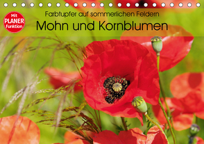 Farbtupfer auf sommerlichen Feldern – Mohn und Kornblumen (Tischkalender 2021 DIN A5 quer) von Frost,  Anja