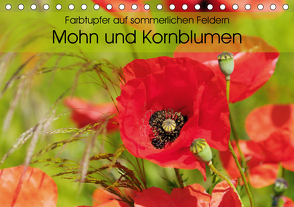 Farbtupfer auf sommerlichen Feldern – Mohn und Kornblumen (Tischkalender 2021 DIN A5 quer) von Frost,  Anja