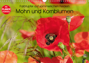 Farbtupfer auf sommerlichen Feldern – Mohn und Kornblumen (Wandkalender 2021 DIN A3 quer) von Frost,  Anja