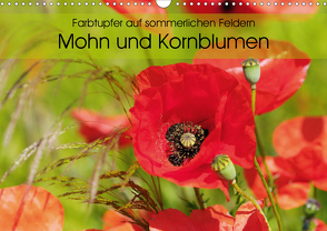 Farbtupfer auf sommerlichen Feldern – Mohn und Kornblumen (Wandkalender 2021 DIN A3 quer) von Frost,  Anja