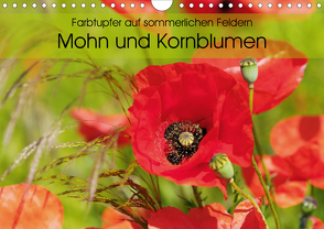 Farbtupfer auf sommerlichen Feldern – Mohn und Kornblumen (Wandkalender 2021 DIN A4 quer) von Frost,  Anja