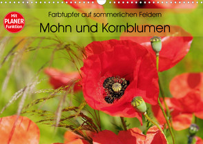 Farbtupfer auf sommerlichen Feldern – Mohn und Kornblumen (Wandkalender 2022 DIN A3 quer) von Frost,  Anja