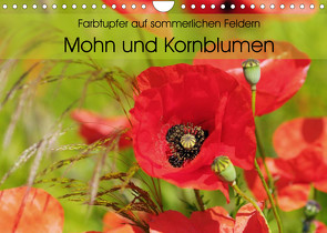 Farbtupfer auf sommerlichen Feldern – Mohn und Kornblumen (Wandkalender 2022 DIN A4 quer) von Frost,  Anja