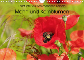 Farbtupfer auf sommerlichen Feldern – Mohn und Kornblumen (Wandkalender 2023 DIN A4 quer) von Frost,  Anja