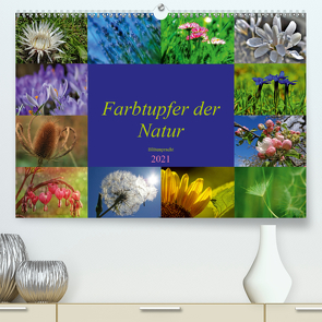 Farbtupfer der Natur – Blütenpracht (Premium, hochwertiger DIN A2 Wandkalender 2021, Kunstdruck in Hochglanz) von Michel,  Susan