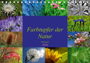 Farbtupfer der Natur – Blütenpracht (Tischkalender 2020 DIN A5 quer) von Michel,  Susan
